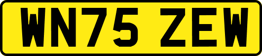 WN75ZEW