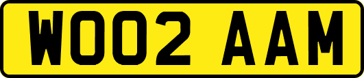 WO02AAM