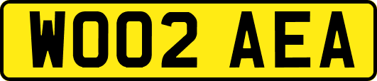 WO02AEA