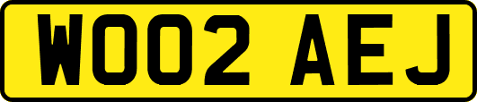WO02AEJ