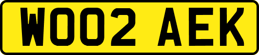 WO02AEK