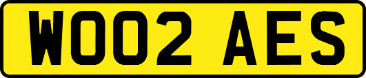 WO02AES
