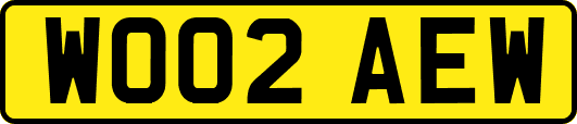 WO02AEW