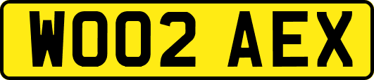 WO02AEX