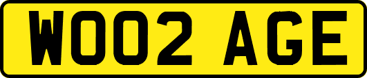 WO02AGE
