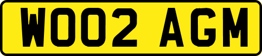 WO02AGM