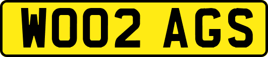 WO02AGS