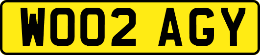 WO02AGY