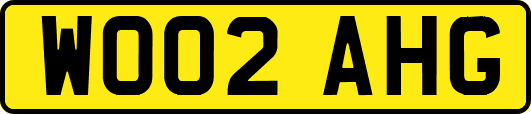 WO02AHG