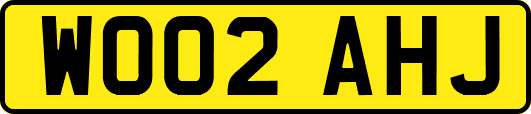 WO02AHJ