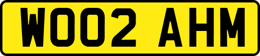WO02AHM