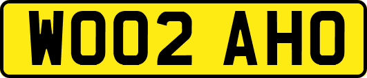 WO02AHO