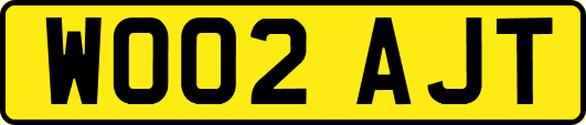 WO02AJT