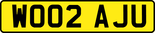 WO02AJU