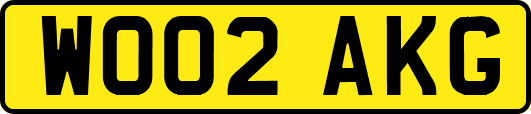 WO02AKG
