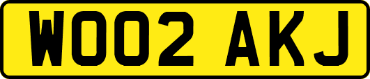 WO02AKJ