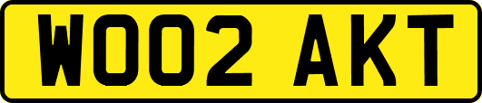 WO02AKT