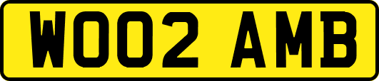 WO02AMB