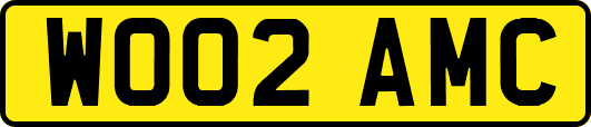 WO02AMC