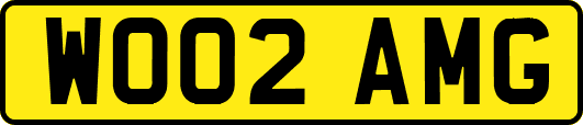 WO02AMG