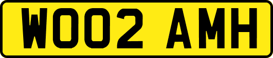 WO02AMH