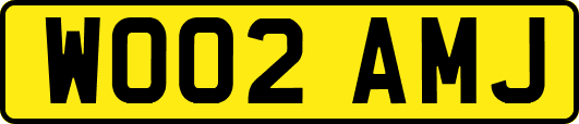 WO02AMJ