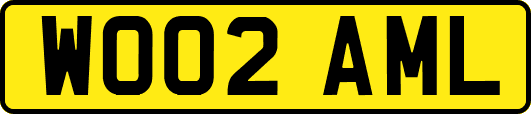 WO02AML