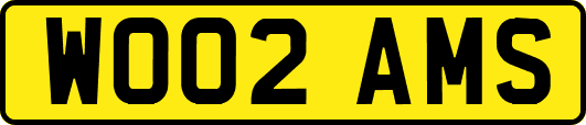 WO02AMS