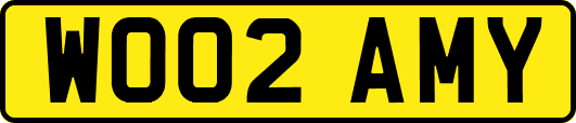 WO02AMY