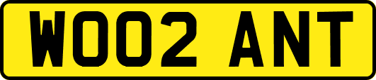 WO02ANT