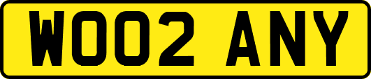 WO02ANY
