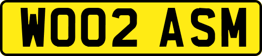WO02ASM