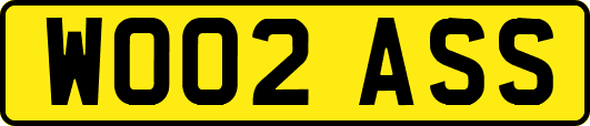 WO02ASS