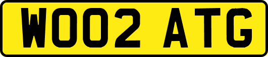 WO02ATG