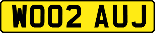WO02AUJ