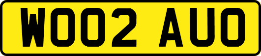 WO02AUO