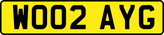 WO02AYG