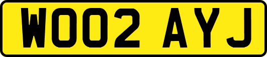 WO02AYJ