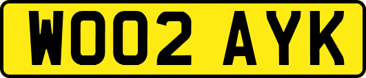 WO02AYK