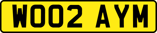 WO02AYM