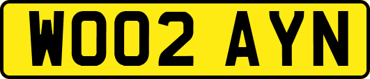 WO02AYN
