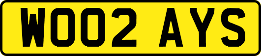 WO02AYS