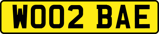 WO02BAE