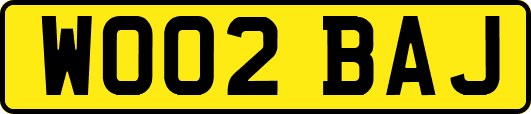 WO02BAJ