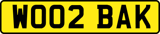 WO02BAK