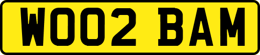 WO02BAM