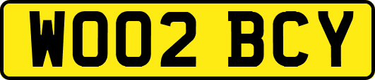 WO02BCY