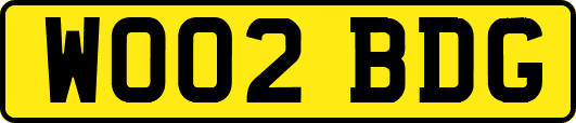 WO02BDG