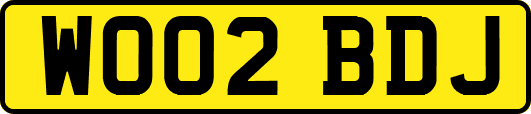 WO02BDJ