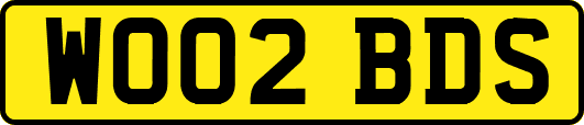 WO02BDS